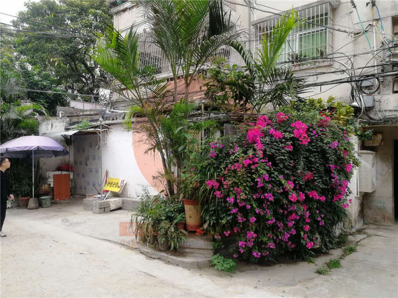 湛江网红餐饮店设计-社区店